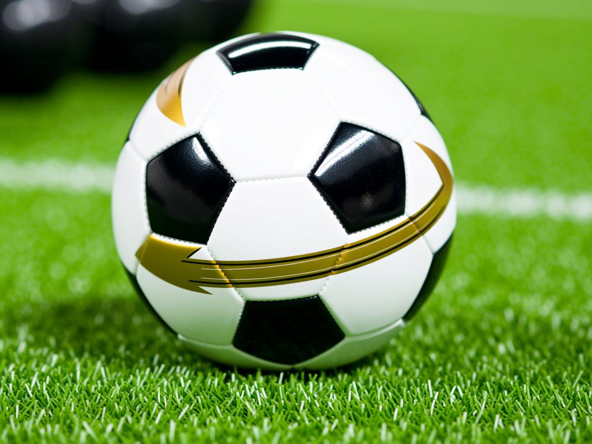 平博体育博彩-中国女篮迎来新一轮集训 重点提升技术细节，2021中国女篮集训  第2张