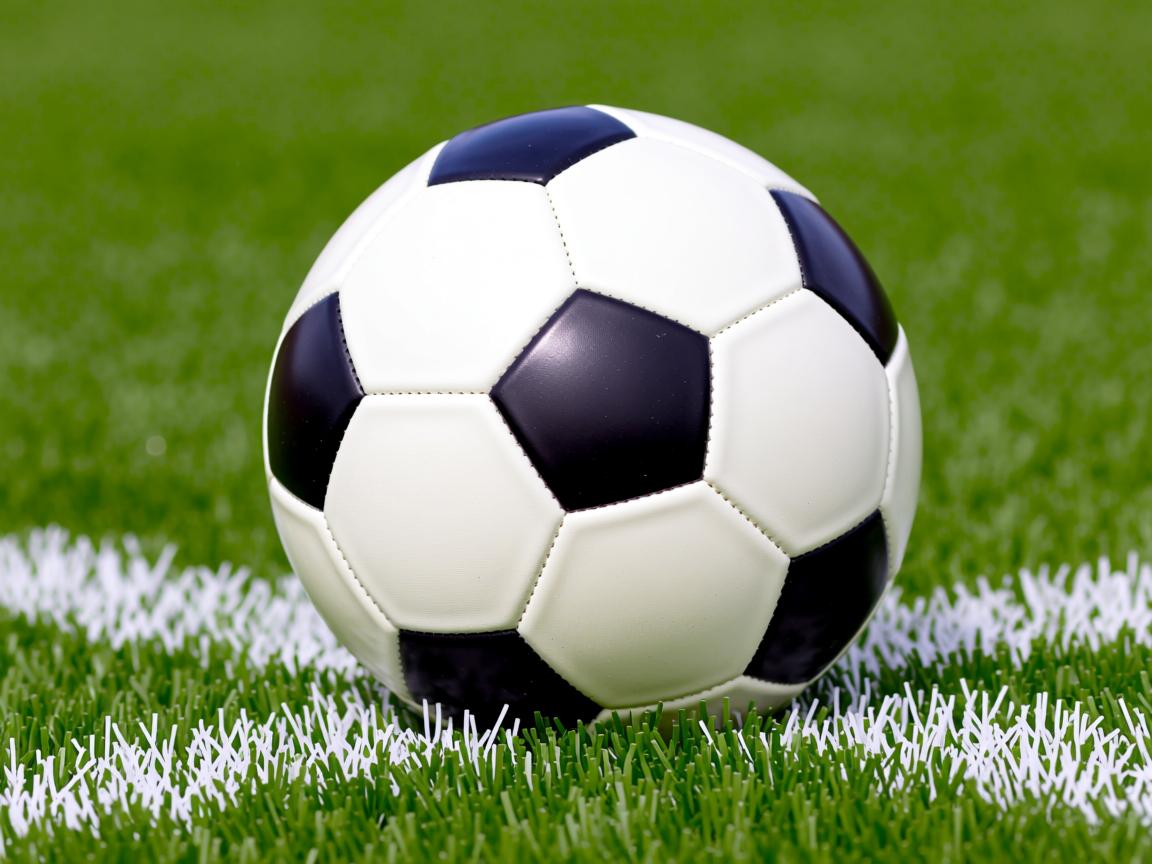 平博体育官网-中超联赛中国队迎战 球员心态保持积极，中超新人  第2张