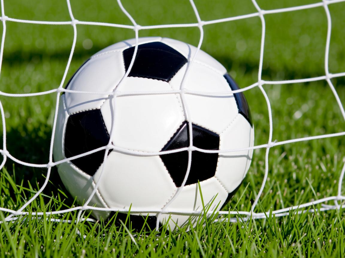 平博官网地址-体育新闻中心协同地方媒体开发体育文化专题报道,体育新闻通讯 第3张